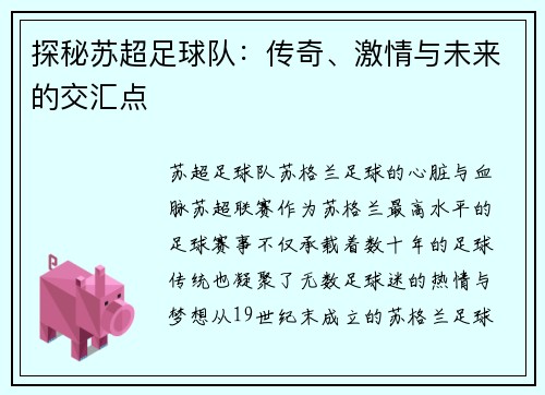 探秘苏超足球队：传奇、激情与未来的交汇点