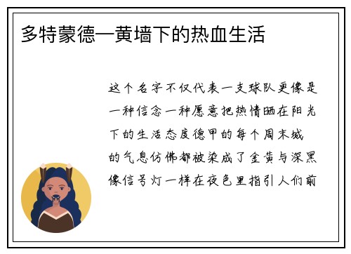 多特蒙德—黄墙下的热血生活