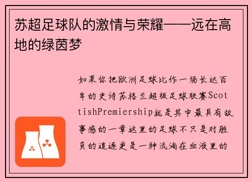 苏超足球队的激情与荣耀——远在高地的绿茵梦
