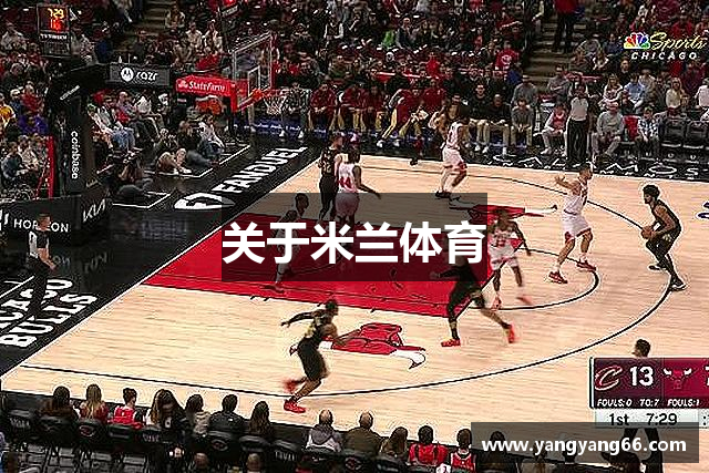 关于米兰体育